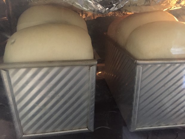 如何拯救失败的面团,如何拯救发酵失败的面团