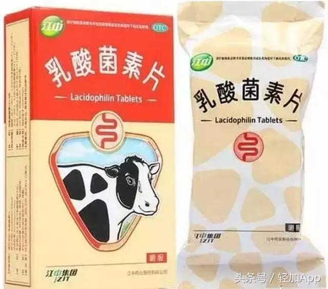 乳酸菌饮料可以减脂,开胃乳酸菌饮品