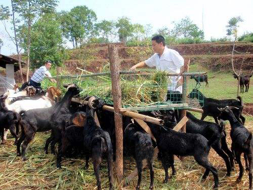 农村创业机会,农村电商创业机会有哪些