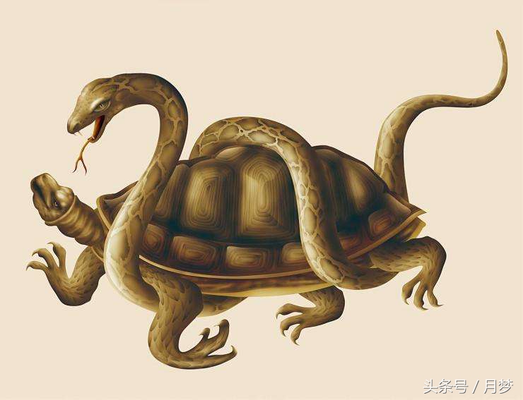 中国古代神兽鱼类,中国古代神兽大全