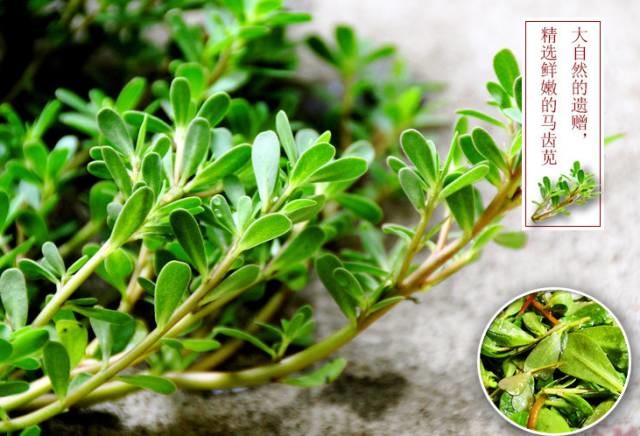 中药那些事,中药材里的那点事