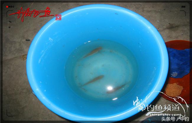 鱼口稀什么意思,鱼口又轻又慢