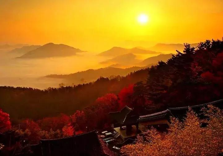 每逢佳节倍思亲又是一年九重阳,九九重阳每逢佳节倍思亲