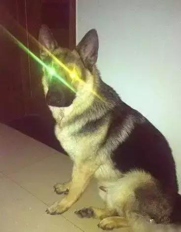 一位奶奶和孙子的对话,一奶奶