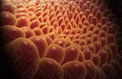 爱喝白酒的人吃东西下咽费劲,爱喝白酒的危害