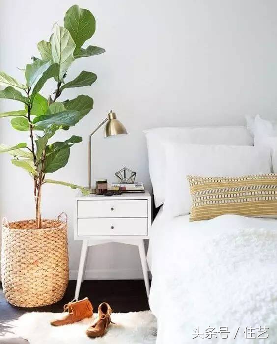 8款“美还不贵”单品推荐，让你家赢在细节｜设计师说