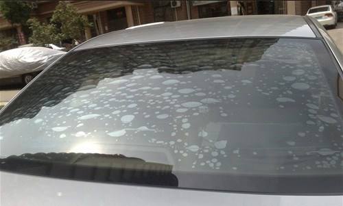 车贴膜有小白点气泡正常吗,车贴膜去膜后有气泡多久才消失