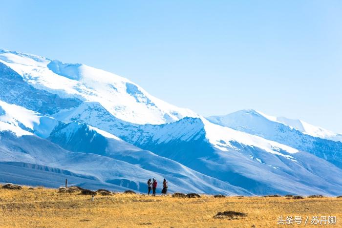 老司机眼中的西藏精髓,老司机西藏旅游