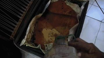 看了让人非常难受的高分电影,这辈子都不想看的电影