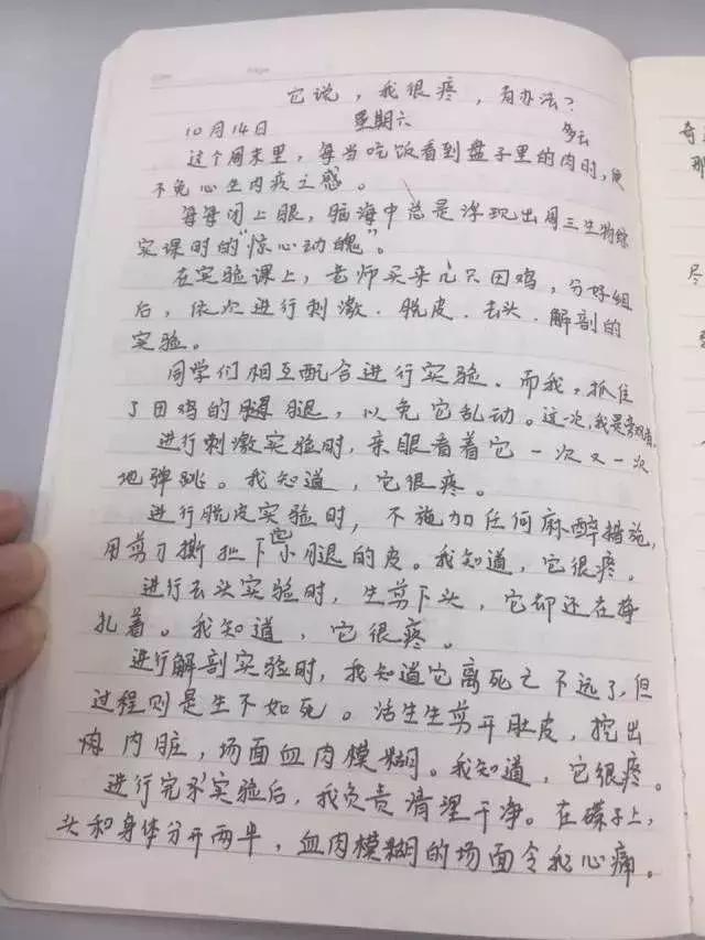 大学生解剖青蛙,大学生练习解剖青蛙