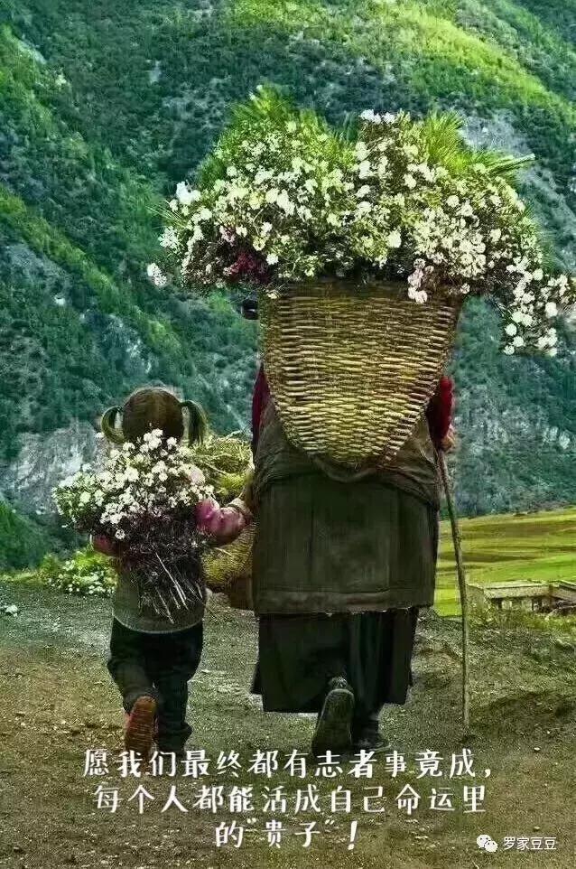 寒门难以出学子的解释,寒门出贵子到底什么意思