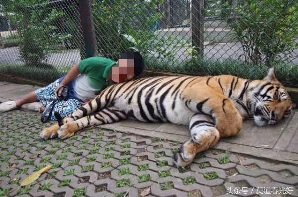 亚洲对中国免签证国家有哪些,中国护照去亚洲哪几个国家免签证