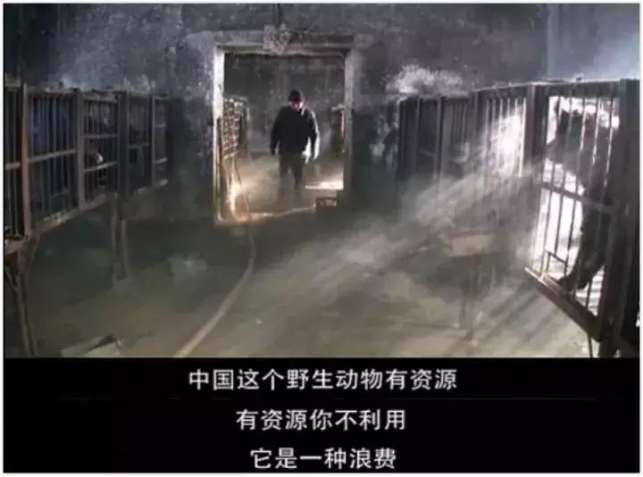 看了让人非常难受的高分电影,这辈子都不想看的电影