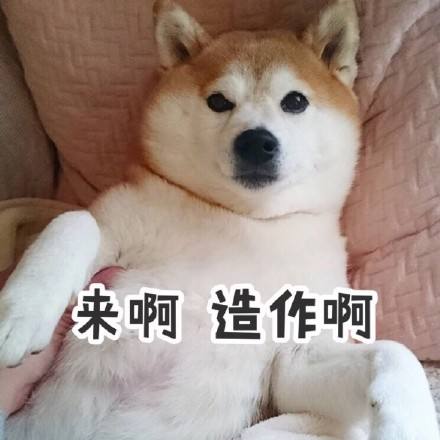 12星座的月份是算农历还是阳历呢,星座应该看农历还是看阳历