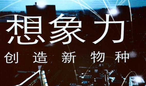 爆品背后的商机,爆品是骗局吗