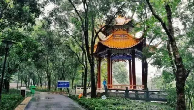 宜昌的四大美女之一是谁,四大美女你最喜欢哪个