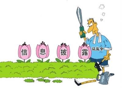 证券市场信息披露违规案例,证券发行人发布虚假信息的责任