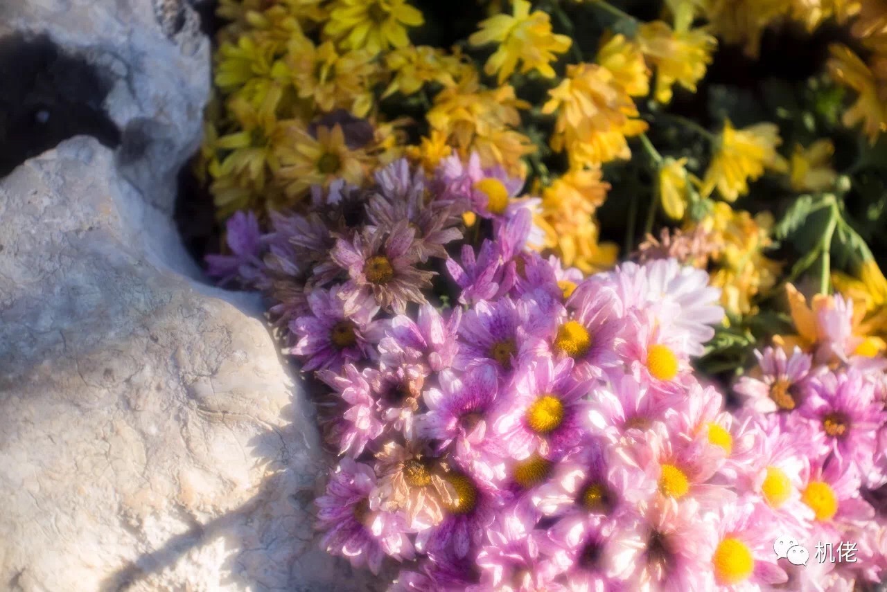 徕卡最顶级的m90镜头,徕卡90镜头展示