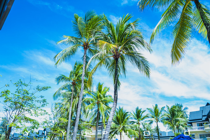 「那片蔚蓝,是我的海」恋上普吉