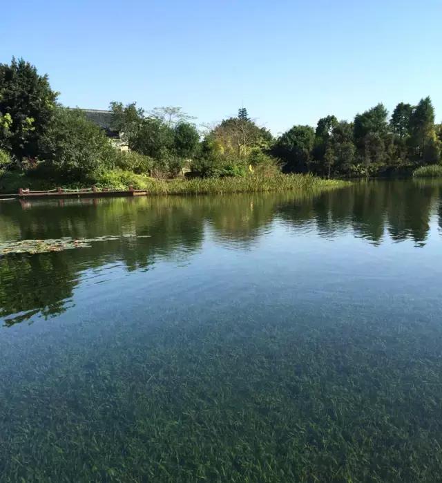 从化碧泉空中温泉酒店附近景点,从化碧泉空中温泉酒店团购