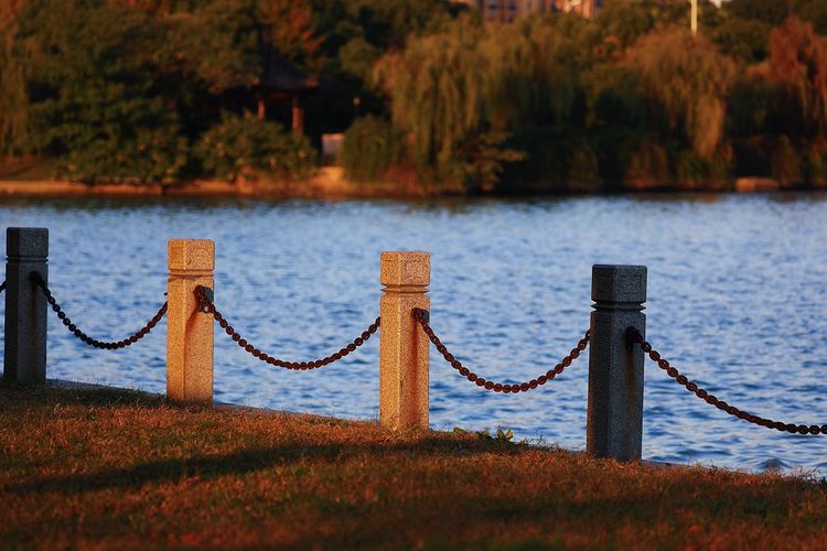 去东湖逛一圈,夏天去东湖哪个景区好玩