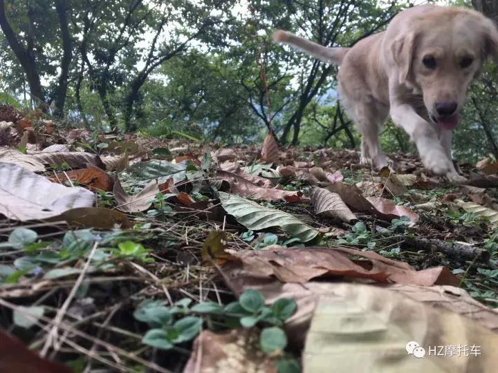 雅马哈mt-10,yamahamt-05