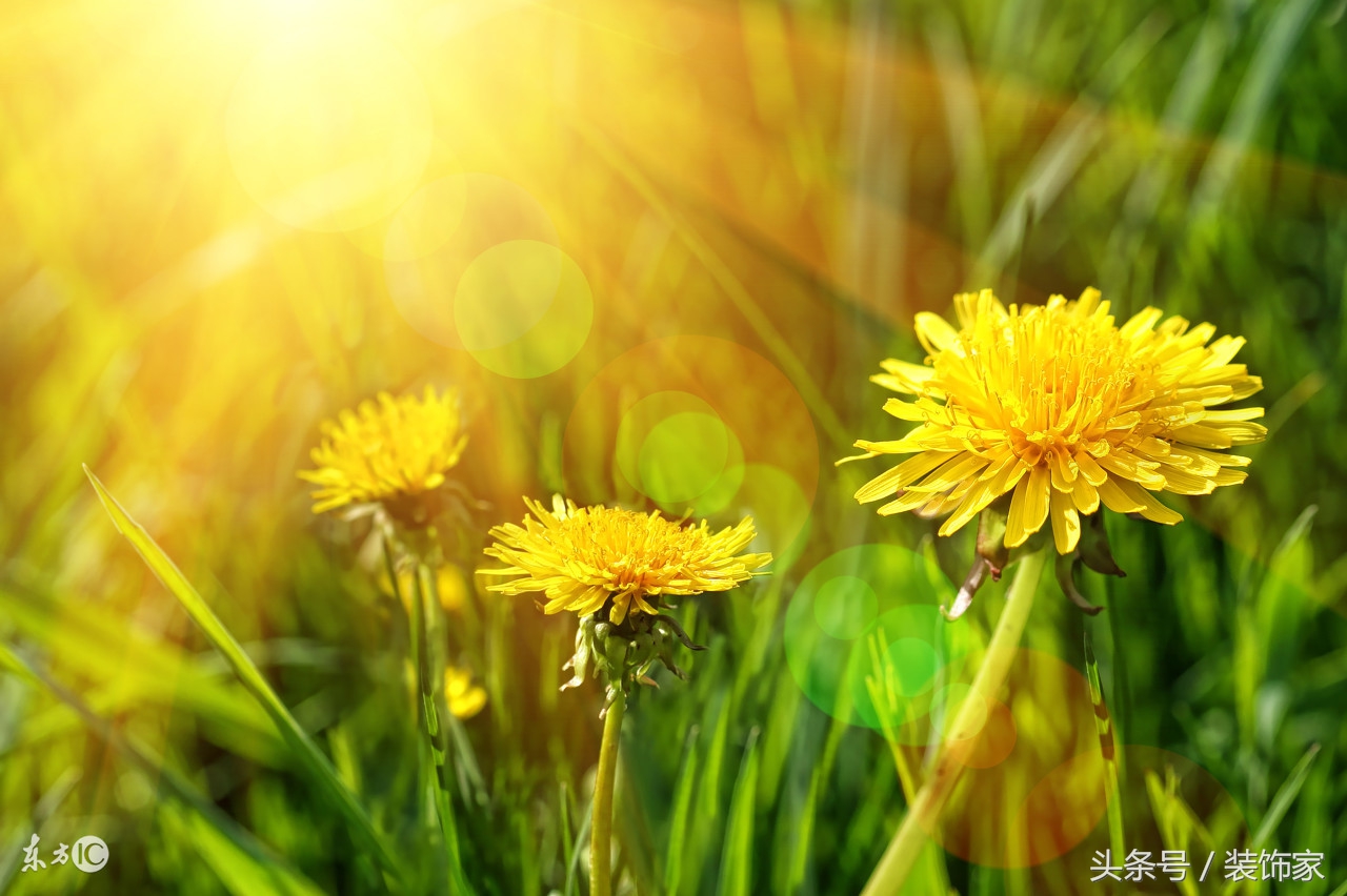 负离子疗法惊人的效果,负离子能治病