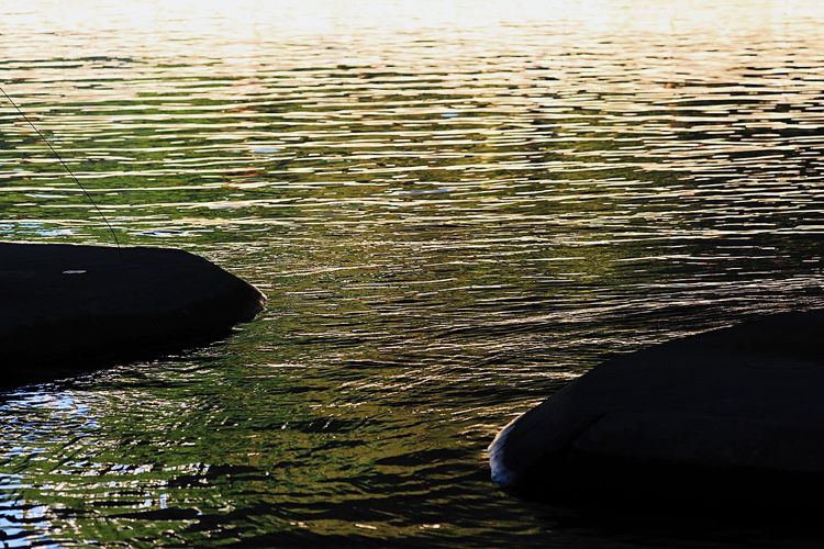 去东湖逛一圈,夏天去东湖哪个景区好玩