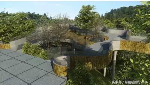 四明山该去哪,四明山观景台晚上能看风景吗