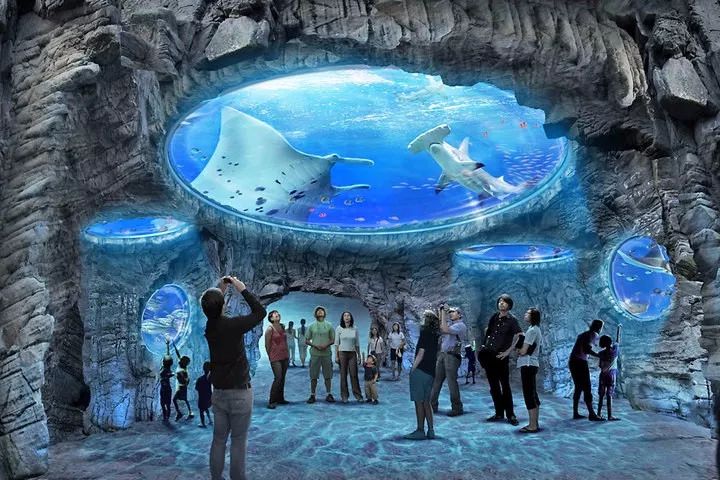 天津坐高铁去香港需要什么手续,从天津坐高铁去香港怎么样