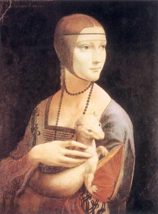 武汉安格鲁宠物貂,安格鲁宠物貂用品