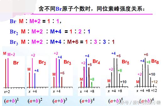 怎么确定质谱参考离子,同位素质谱分析