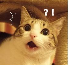 朋友圈代购真的靠谱吗,朋友圈代购还有用吗