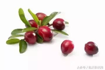 世界公认10大顶级水果,世界粮农组织推荐的五大健康水果