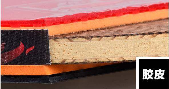 别被骗啦，教你怎么鉴别蝴蝶和双鱼乒乓球拍真假！