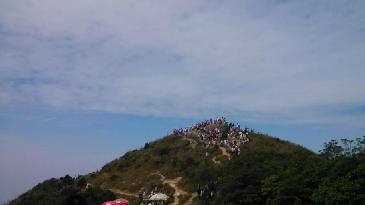 鹏城第一峰梧桐山海拔,鹏城第一峰梧桐山是大梧桐吗