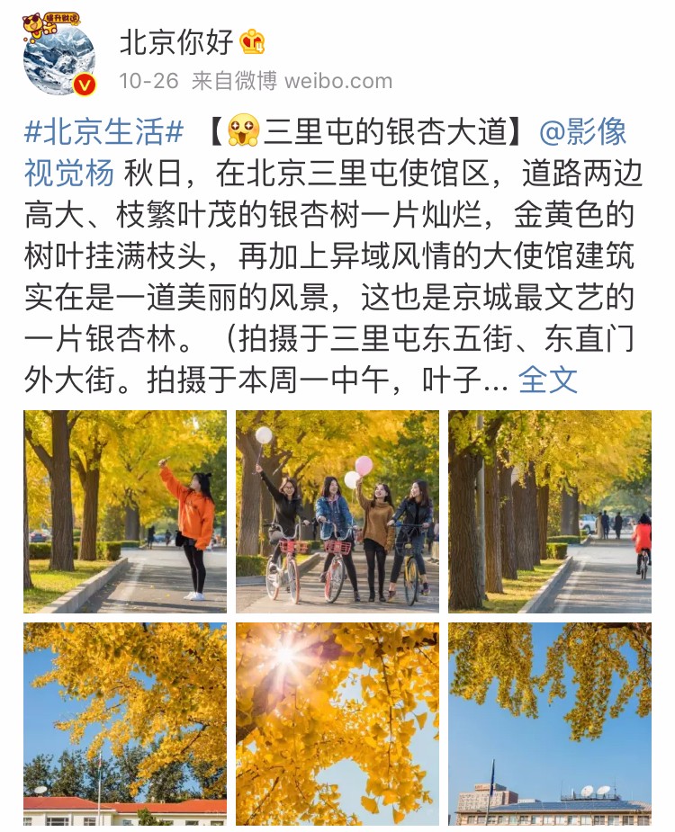 京城赏秋打卡胜地,京城赏荷最佳路线图