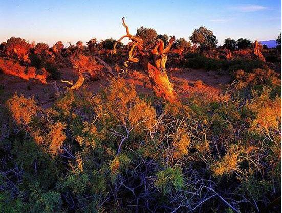 支付宝新功能上线网友太贴心了,支付宝每日必备功能