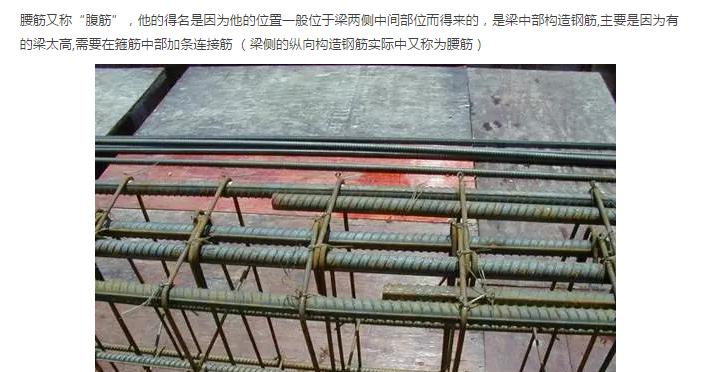 钢筋怎么识别是纵筋配筋,钢筋基本知识与识图