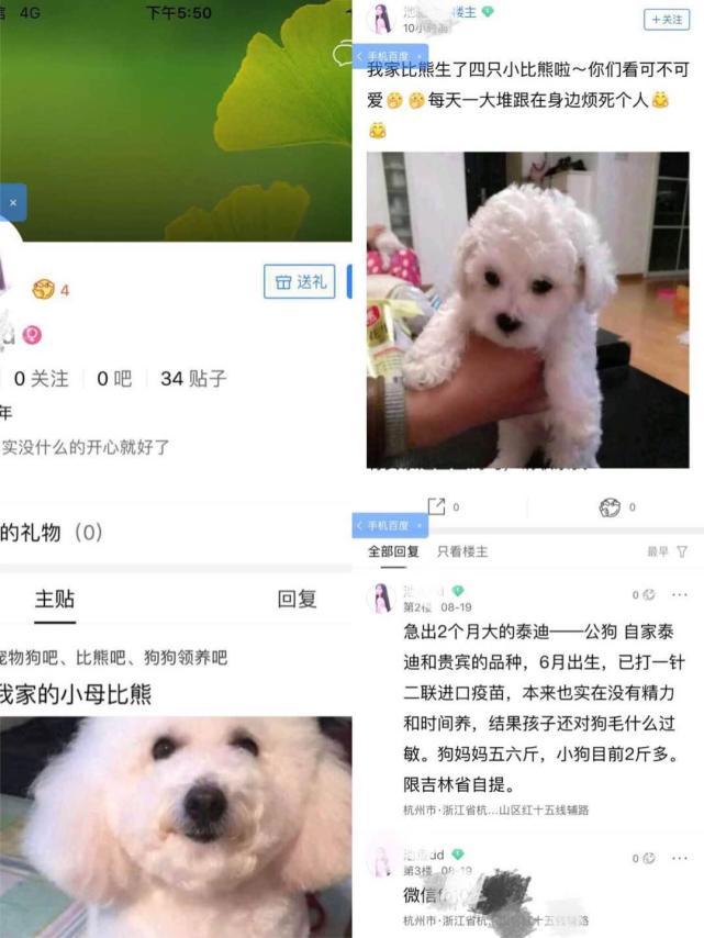 网上卖狗狗的都是骗子吗,怎么确定网上卖狗的不是骗子