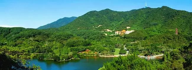 鹏城第一峰梧桐山要不要门票,鹏城第一峰梧桐山顶