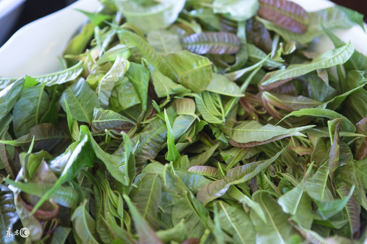 五种怪味食物对健康有利,吃臭豆腐会不孕不育吗