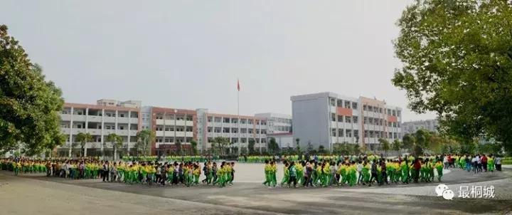 桐城同安小学2012,桐城同安小学