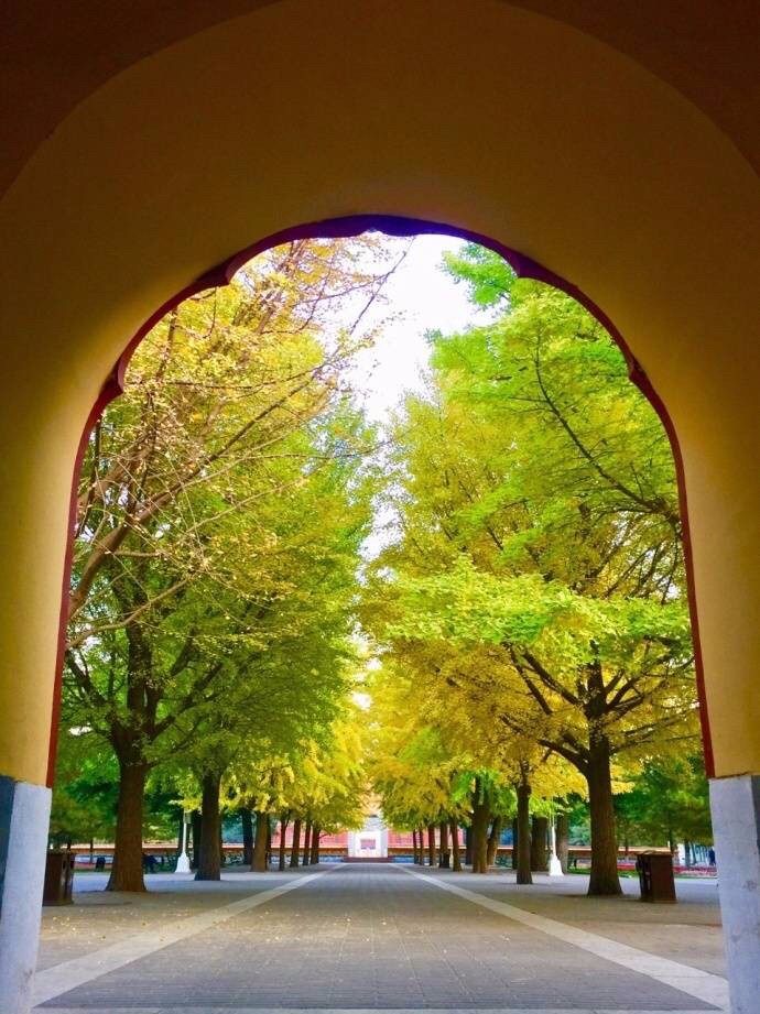 京城赏秋打卡胜地,京城赏荷最佳路线图