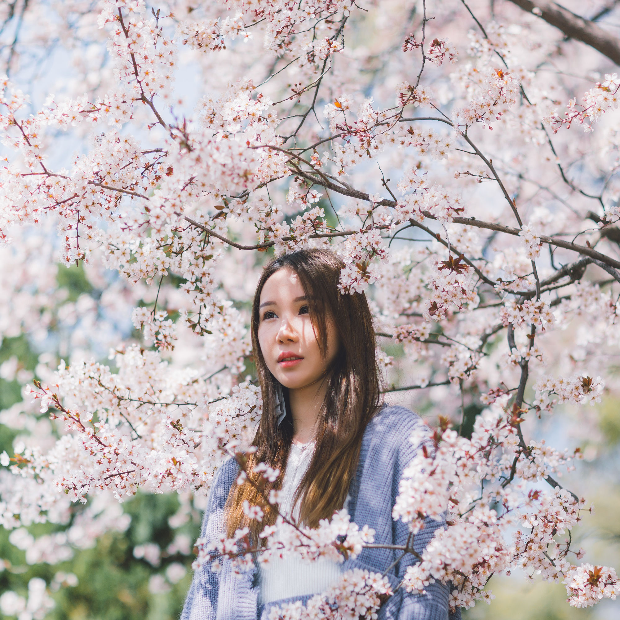 日本亲子游自由行攻略,日本旅游性价比攻略