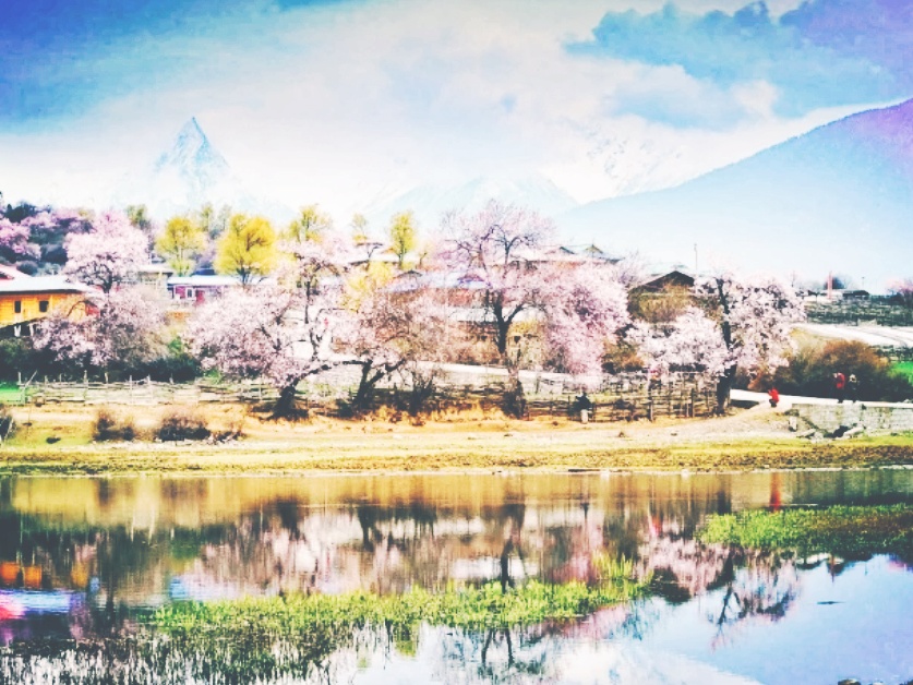 全球十大最美的国花,所有国家的国花大全