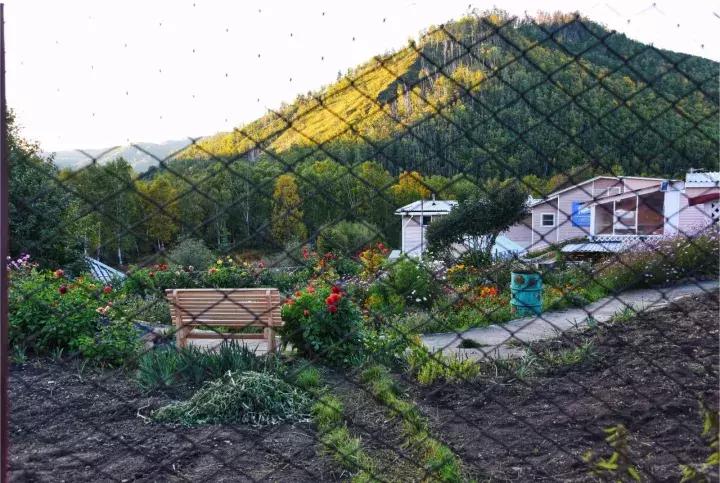 坐火车穿越俄罗斯西伯利亚,欧洲火车途经小镇