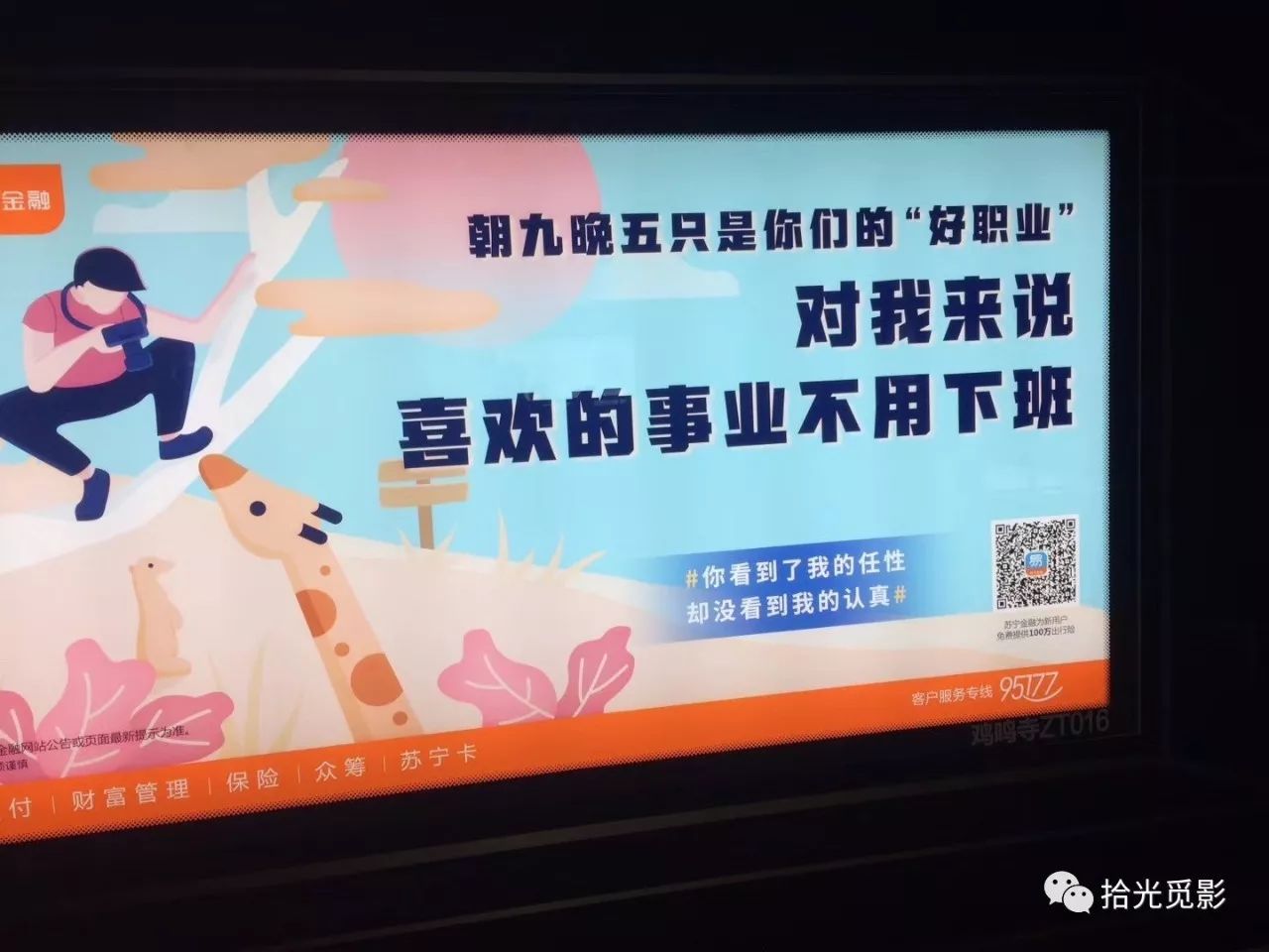 双十一电商大战视频,猫狗狮双11混战视频