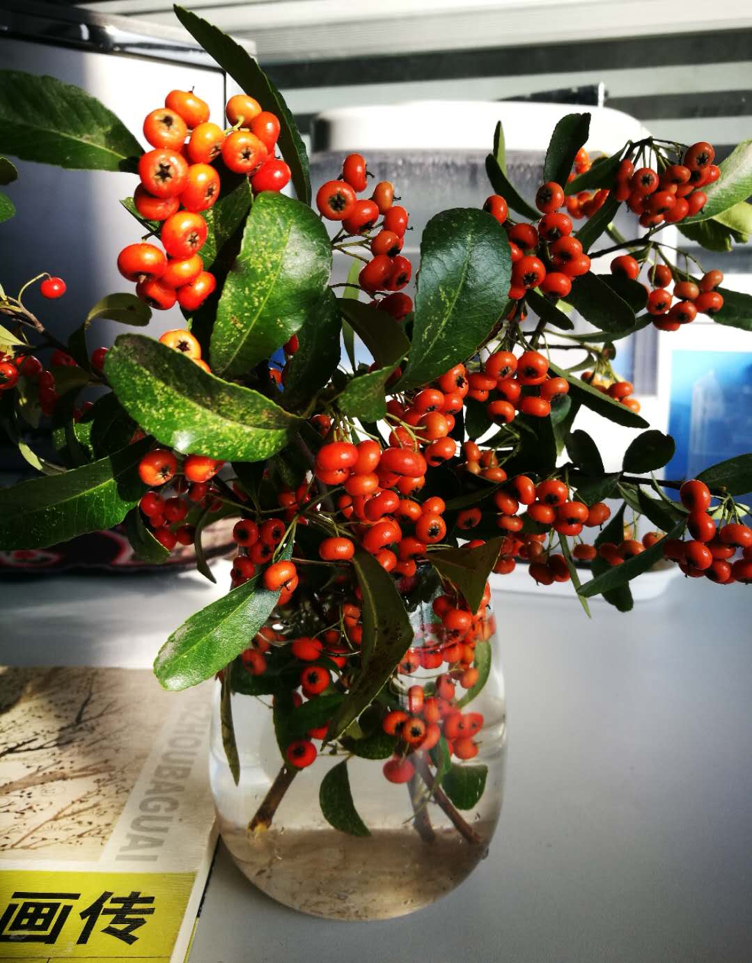 手机摄影作品赏析,手机摄影作品也可以美不胜收