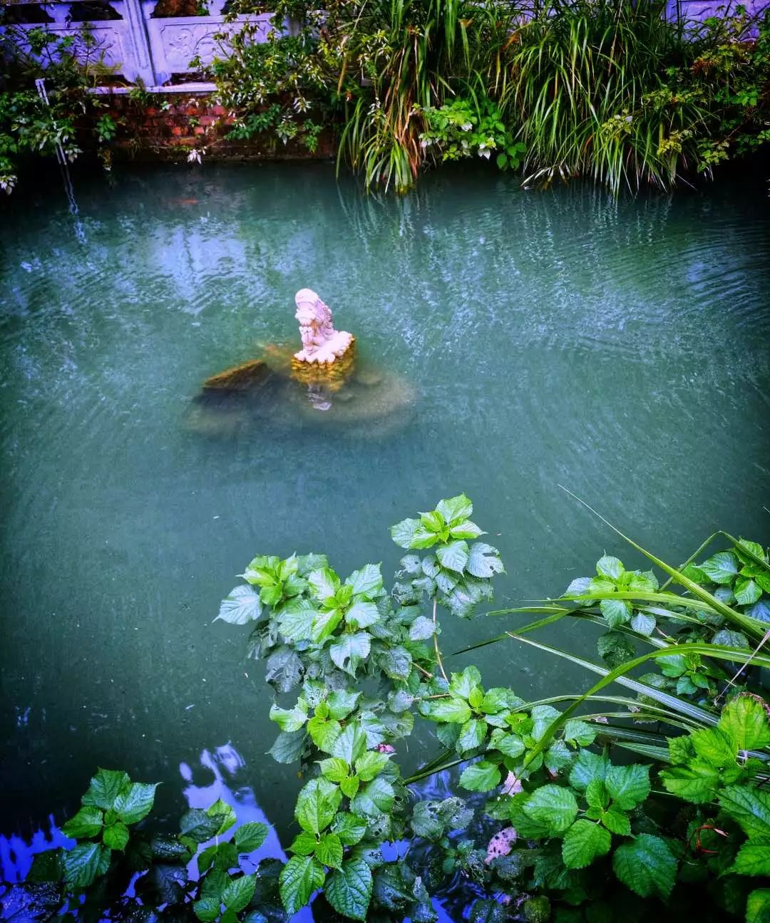 手机摄影作品也可以美不胜收,秋天手机摄影作品欣赏